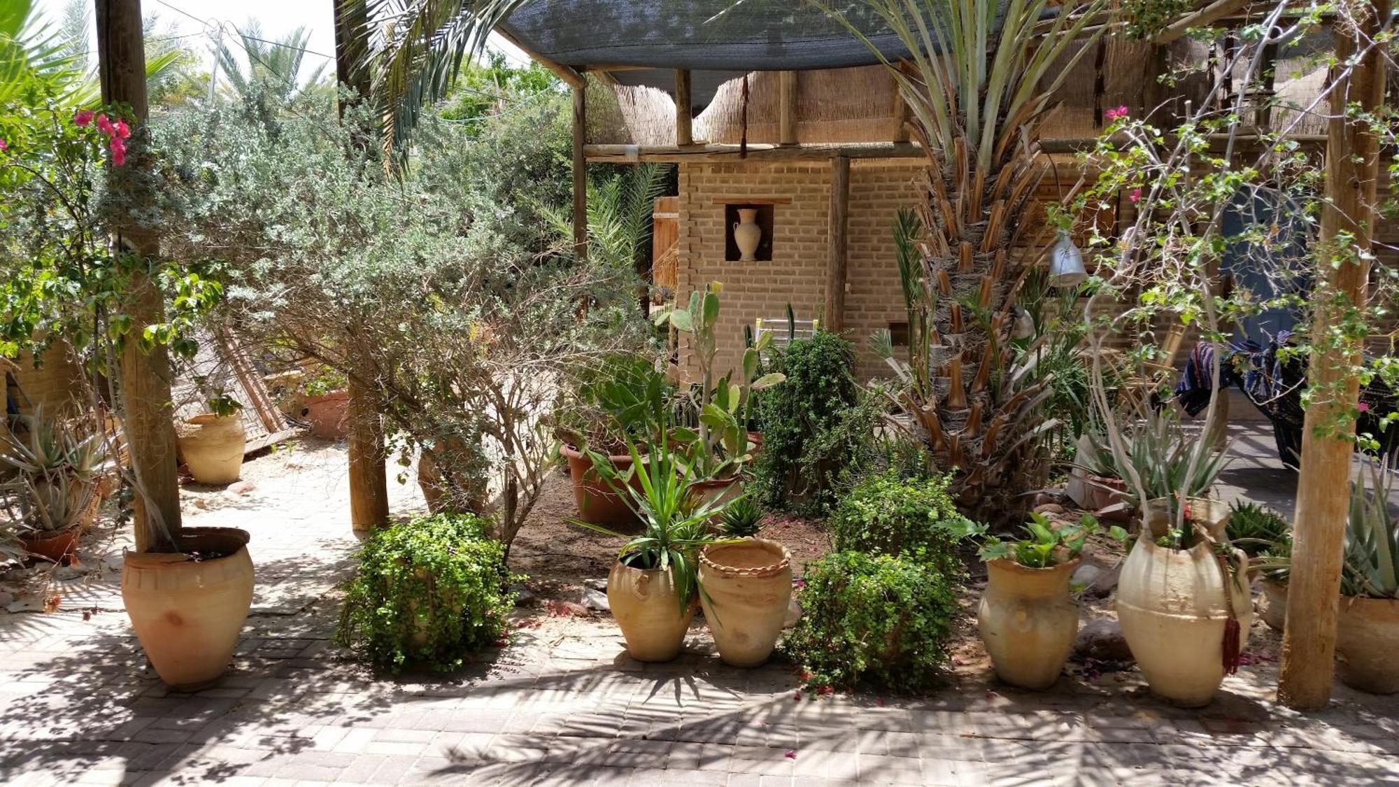 Desert Routes Inn Shvilim Ba Midbar Hazeva Exterior foto